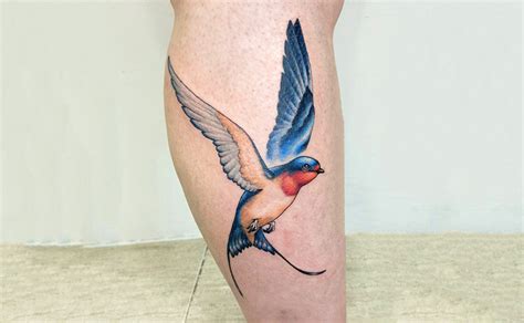 swallows tattoo|76 Swallow Tattoo Designs To Soar Through The Sky .